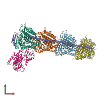 PDB entry 5c8y coloured by chain, front view.