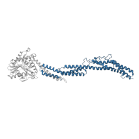 The deposited structure of PDB entry 5ca8 contains 1 copy of Pfam domain PF20428 (Sey1 three-helix bundle domain) in Protein SEY1. Showing 1 copy in chain A.