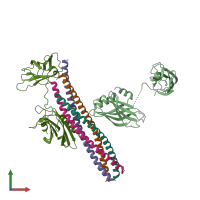 PDB entry 5cci coloured by chain, front view.