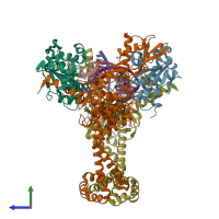 PDB entry 5cdm coloured by chain, side view.