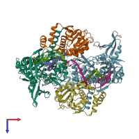 PDB entry 5cdr coloured by chain, top view.