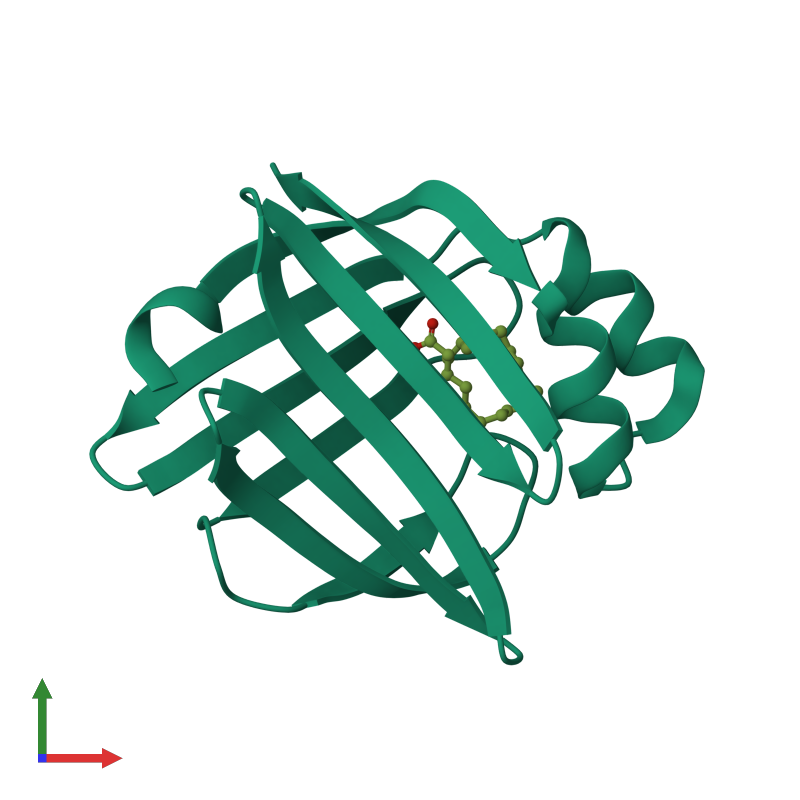 <div class='caption-body'><ul class ='image_legend_ul'> Monomeric assembly 1 of PDB entry 5ce4 coloured by chemically distinct molecules and viewed from the front. This assembly contains:<li class ='image_legend_li'>One copy of Fatty acid-binding protein, heart</li><li class ='image_legend_li'>One copy of OLEIC ACID</li></ul></div>