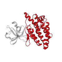 The deposited structure of PDB entry 5cen contains 1 copy of CATH domain 1.10.510.10 (Transferase(Phosphotransferase); domain 1) in Mitogen-activated protein kinase kinase kinase 12. Showing 1 copy in chain A.