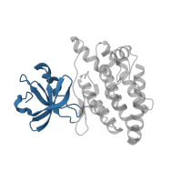 The deposited structure of PDB entry 5cen contains 1 copy of CATH domain 3.30.200.20 (Phosphorylase Kinase; domain 1) in Mitogen-activated protein kinase kinase kinase 12. Showing 1 copy in chain A.