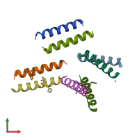PDB entry 5cgn coloured by chain, front view.