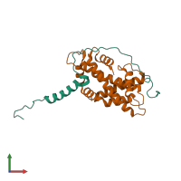 PDB entry 5chl coloured by chain, front view.