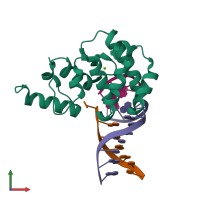 PDB entry 5chz coloured by chain, front view.