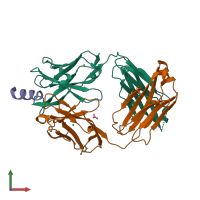 PDB entry 5cil coloured by chain, front view.