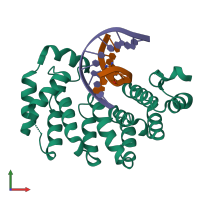 PDB entry 5clb coloured by chain, front view.