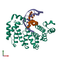 PDB entry 5clc coloured by chain, front view.