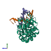 PDB entry 5clc coloured by chain, side view.