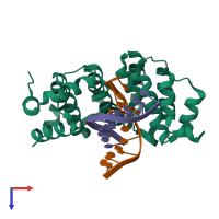 PDB entry 5clc coloured by chain, top view.