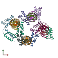 PDB entry 5clv coloured by chain, front view.