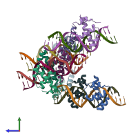 PDB entry 5clv coloured by chain, side view.