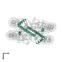 Histone H3.1 in PDB entry 5cpk, assembly 1, top view.