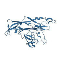 The deposited structure of PDB entry 5cpx contains 5 copies of Pfam domain PF00718 (Polyomavirus coat protein) in Capsid protein VP1. Showing 1 copy in chain D.