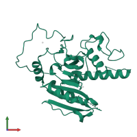 Fucosylglycoprotein alpha-N-acetylgalactosaminyltransferase soluble form in PDB entry 5cqm, assembly 1, front view.