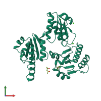 PDB entry 5crd coloured by chain, front view.