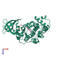 Monomeric assembly 1 of PDB entry 5ctp coloured by chemically distinct molecules, top view.