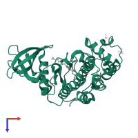Casein kinase II subunit alpha in PDB entry 5ctp, assembly 2, top view.