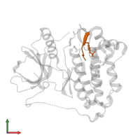 SHC-transforming protein 1 in PDB entry 5czi, assembly 1, front view.