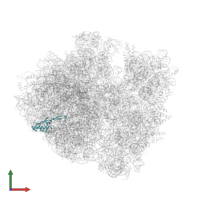 Large ribosomal subunit protein uL22 in PDB entry 5czp, assembly 1, front view.