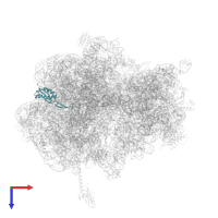 Large ribosomal subunit protein uL22 in PDB entry 5czp, assembly 1, top view.