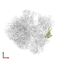 Small ribosomal subunit protein uS2 in PDB entry 5czp, assembly 1, front view.