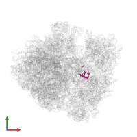 Small ribosomal subunit protein bS18 in PDB entry 5czp, assembly 1, front view.