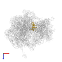 Large ribosomal subunit protein uL5 in PDB entry 5czp, assembly 1, top view.