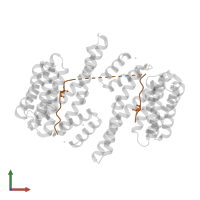 Cystic fibrosis transmembrane conductance regulator in PDB entry 5d2d, assembly 1, front view.