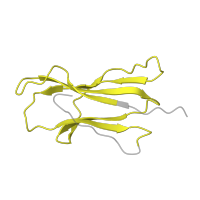 The deposited structure of PDB entry 5d2l contains 4 copies of Pfam domain PF07654 (Immunoglobulin C1-set domain) in Beta-2-microglobulin. Showing 1 copy in chain Q [auth D].