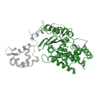 The deposited structure of PDB entry 5d3o contains 2 copies of Pfam domain PF04960 (Glutaminase) in Glutaminase kidney isoform, mitochondrial 65 kDa chain. Showing 1 copy in chain A.