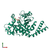 Monomeric assembly 1 of PDB entry 5d3q coloured by chemically distinct molecules, front view.