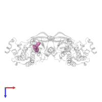 (2R)-2-(1-oxo-1,3-dihydro-2H-isoindol-2-yl)-2-phenyl-N-(1,3-thiazol-2-yl)acetamide in PDB entry 5d41, assembly 1, top view.