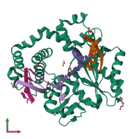 PDB entry 5d49 coloured by chain, front view.