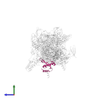 DNA-directed RNA polymerase subunit omega in PDB entry 5d4c, assembly 1, side view.