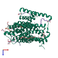 PDB entry 5d6k coloured by chain, top view.