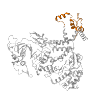 The deposited structure of PDB entry 5d9a contains 4 copies of Pfam domain PF20948 (Influenza RNA polymerase PB2 second domain) in Polymerase basic protein 2. Showing 1 copy in chain F.