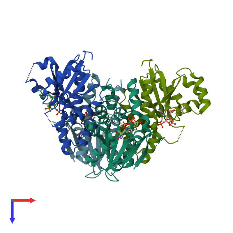 <div class='caption-body'><ul class ='image_legend_ul'>The deposited structure of PDB entry 5das coloured by chain and viewed from the top. The entry contains: <li class ='image_legend_li'>4 copies of Nicotinate-nucleotide adenylyltransferase</li><li class ='image_legend_li'>[]<ul class ='image_legend_ul'><li class ='image_legend_li'>4 copies of NADP NICOTINAMIDE-ADENINE-DINUCLEOTIDE PHOSPHATE</li></ul></li></div>