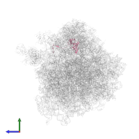 Large ribosomal subunit protein eL21A in PDB entry 5dat, assembly 1, side view.