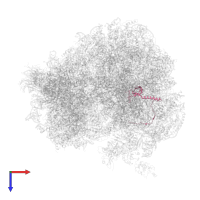 Large ribosomal subunit protein eL21A in PDB entry 5dat, assembly 1, top view.