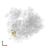 Small ribosomal subunit protein eS4A in PDB entry 5dat, assembly 1, front view.