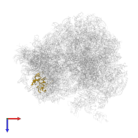 Small ribosomal subunit protein eS4A in PDB entry 5dat, assembly 1, top view.