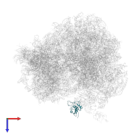 60S ribosomal protein L12-A (uL11) in PDB entry 5dat, assembly 1, top view.