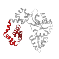 The deposited structure of PDB entry 5db8 contains 1 copy of CATH domain 1.10.150.110 (DNA polymerase; domain 1) in DNA polymerase beta. Showing 1 copy in chain A.