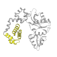 The deposited structure of PDB entry 5db8 contains 1 copy of Pfam domain PF14716 (Helix-hairpin-helix domain) in DNA polymerase beta. Showing 1 copy in chain A.