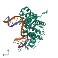 PDB entry 5dbc coloured by chain, side view.