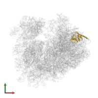 Large ribosomal subunit protein uL30A in PDB entry 5dc3, assembly 2, front view.