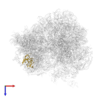 Small ribosomal subunit protein eS4A in PDB entry 5dc3, assembly 2, top view.